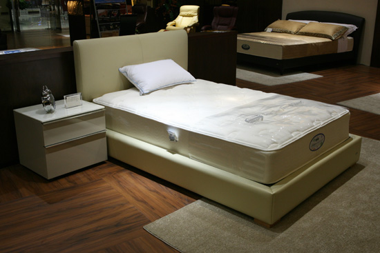 ֪l(shu)l(f)ϯ(mng)˼