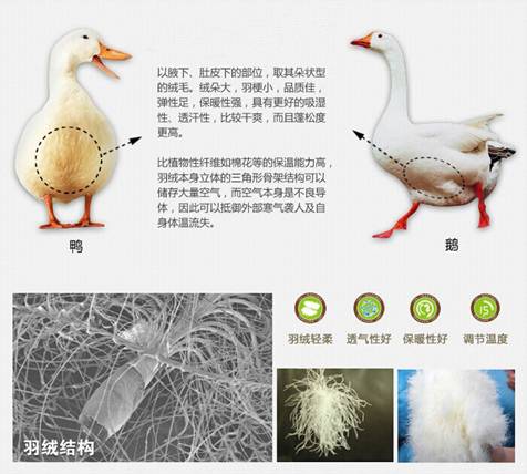 WɼҼu(mi)xُƷq