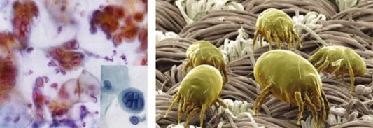 _mҼ(i)(i)360㝍˯