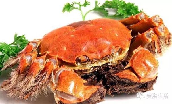 ԡÂĴlззSʳзȯзë