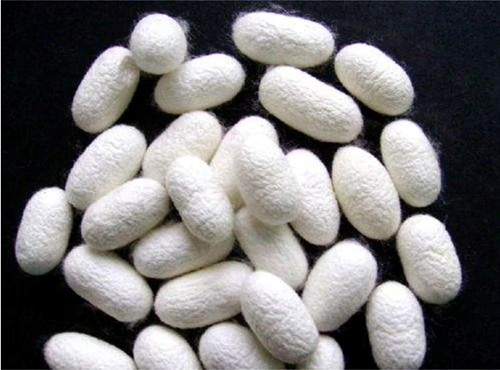 ͬǽzW_{ʲôf(shu)(i)R